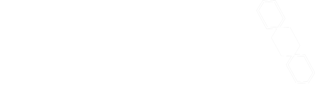 logo fondation analgesia organisateur de a-live