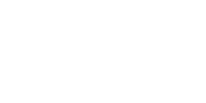logo maxnomic